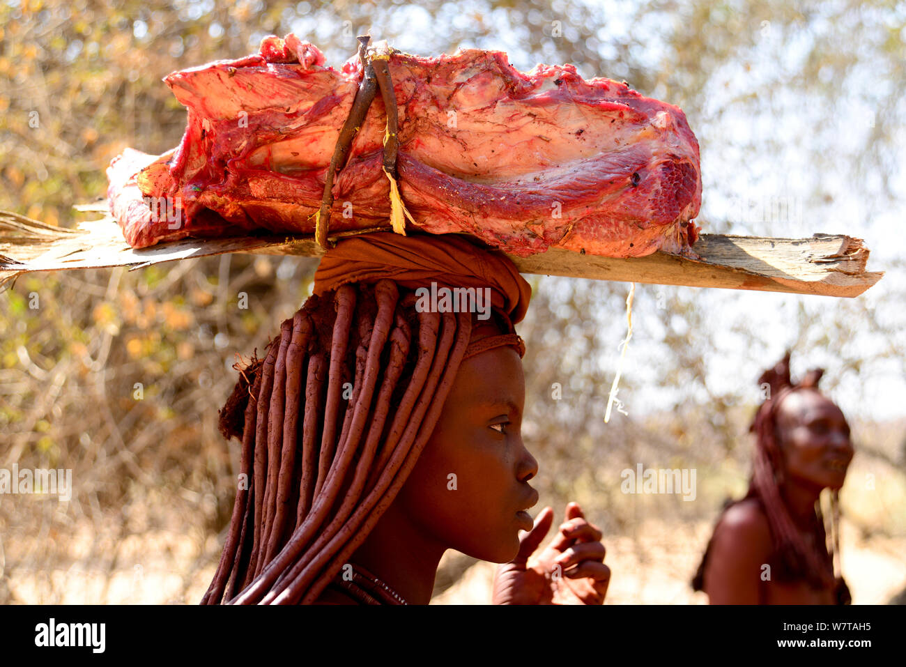 Himba woman carrying meat on her head. Kaokoland, Namibia, September 2013. Stock Photo