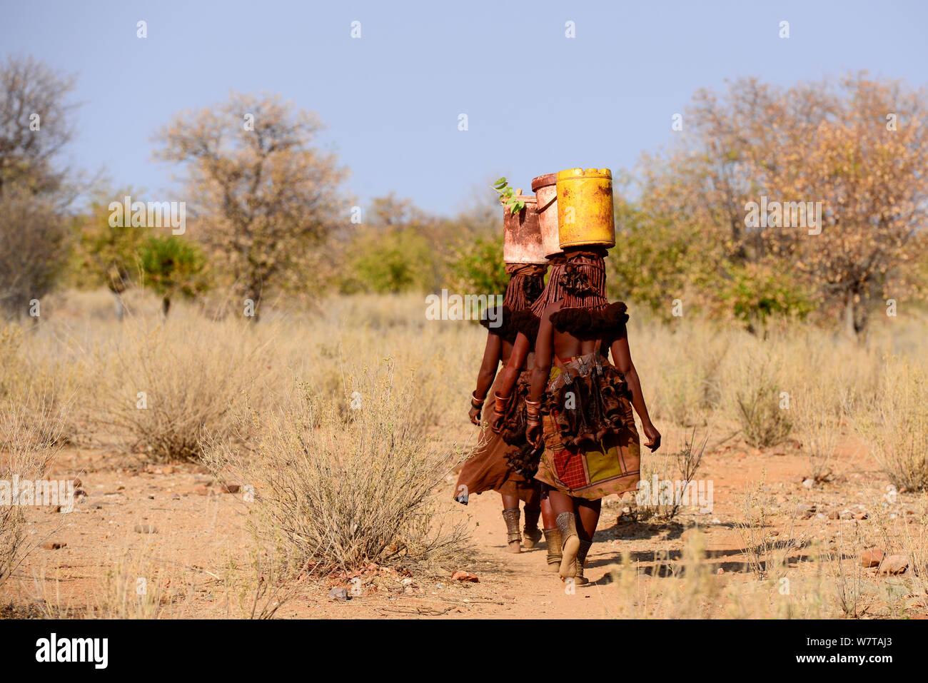 Himba women carrying goods on their heads. Kaokoland, Namibia, September 2013. Stock Photo