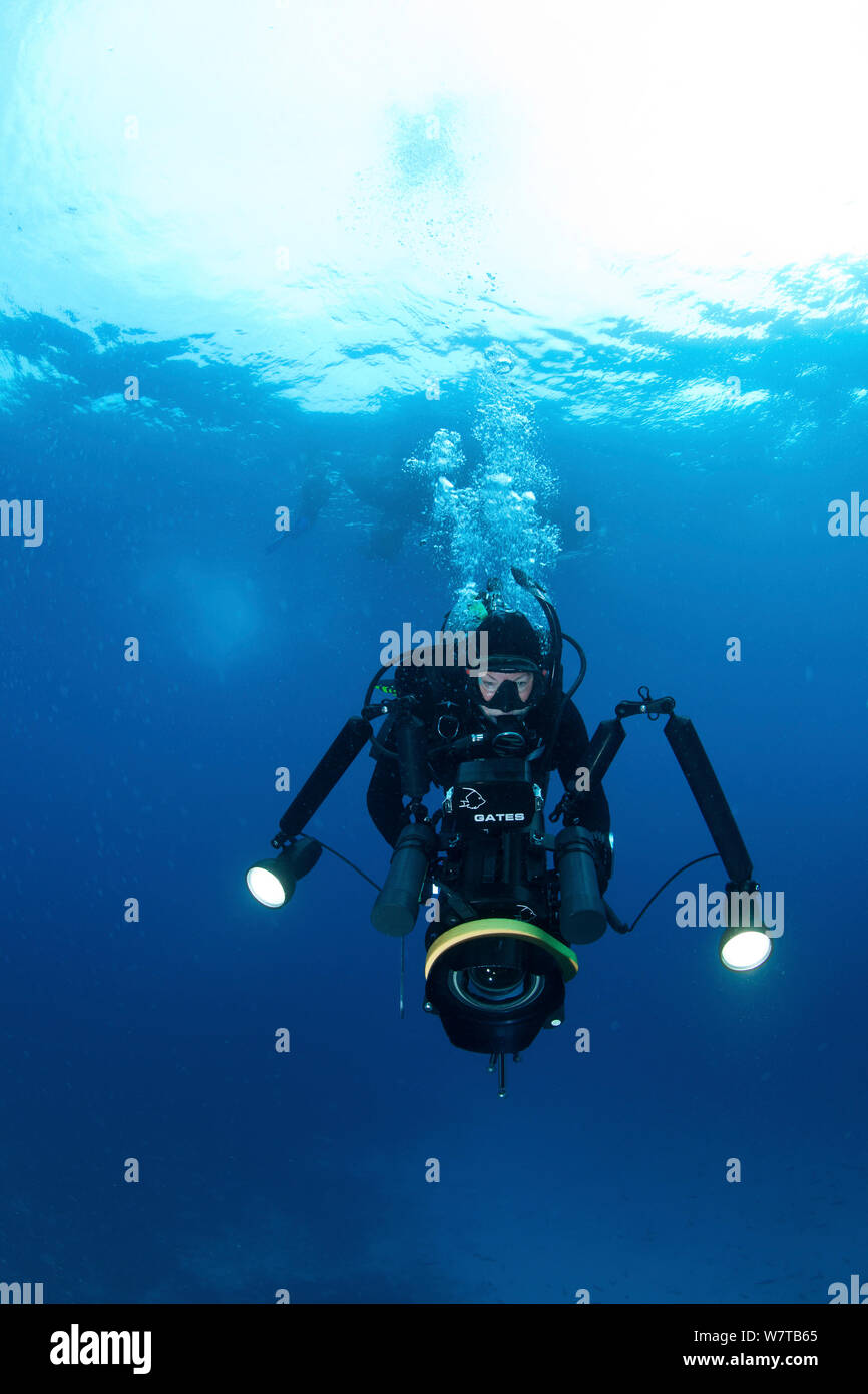 Underwater filmmaker hires stock photography and images Alamy