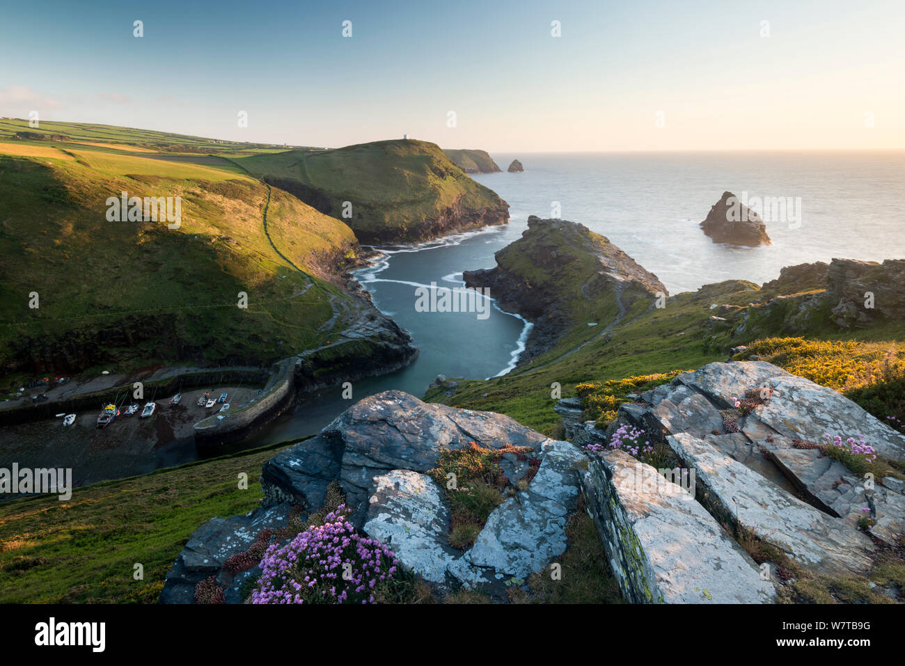 Boscastle harbour and coastline, evening light, Cornwall, UK, May 2013. Stock Photo