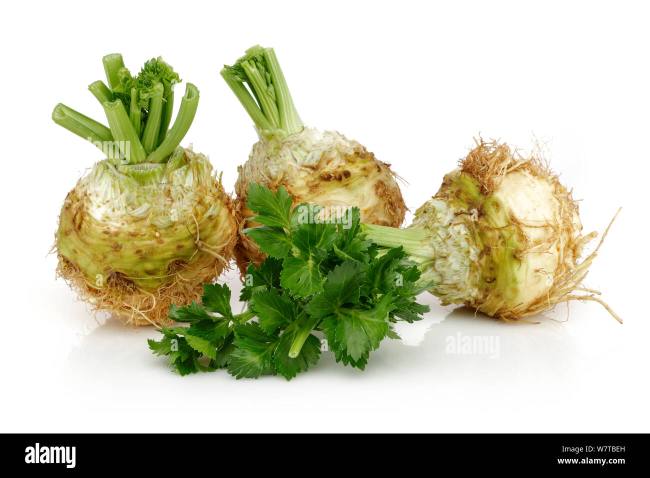 Fresh celeriac root with celery stalks isolated background Stock Photo