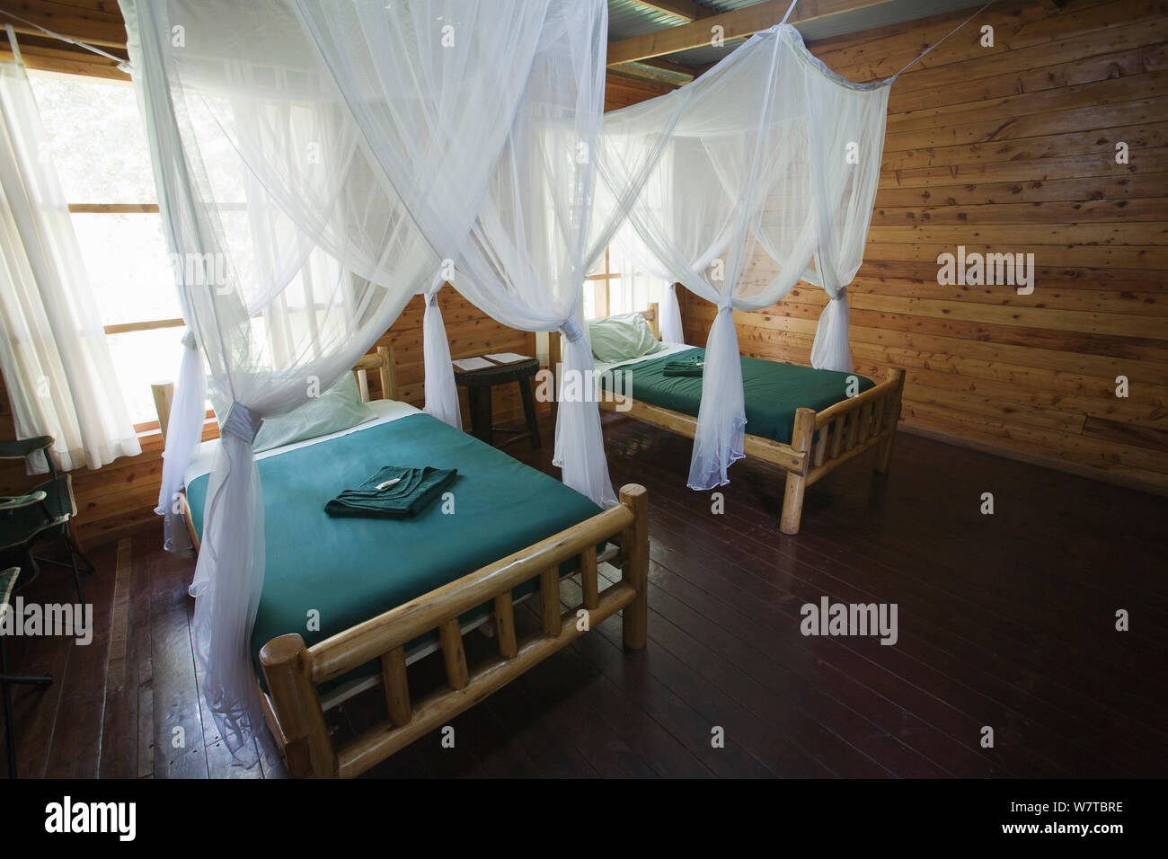 Budongo Eco Lodge cabin, showing mosquito nests over the the beds, Budongo Forest Reserve, Uganda. Stock Photo