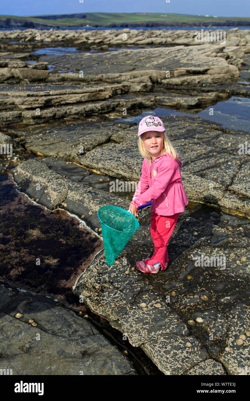 Young girl rock pooling, Pollock Holes, Kilkee, County Clare, Ireland, May 2013. Model released. Meetyourneighbours.net project Stock Photo