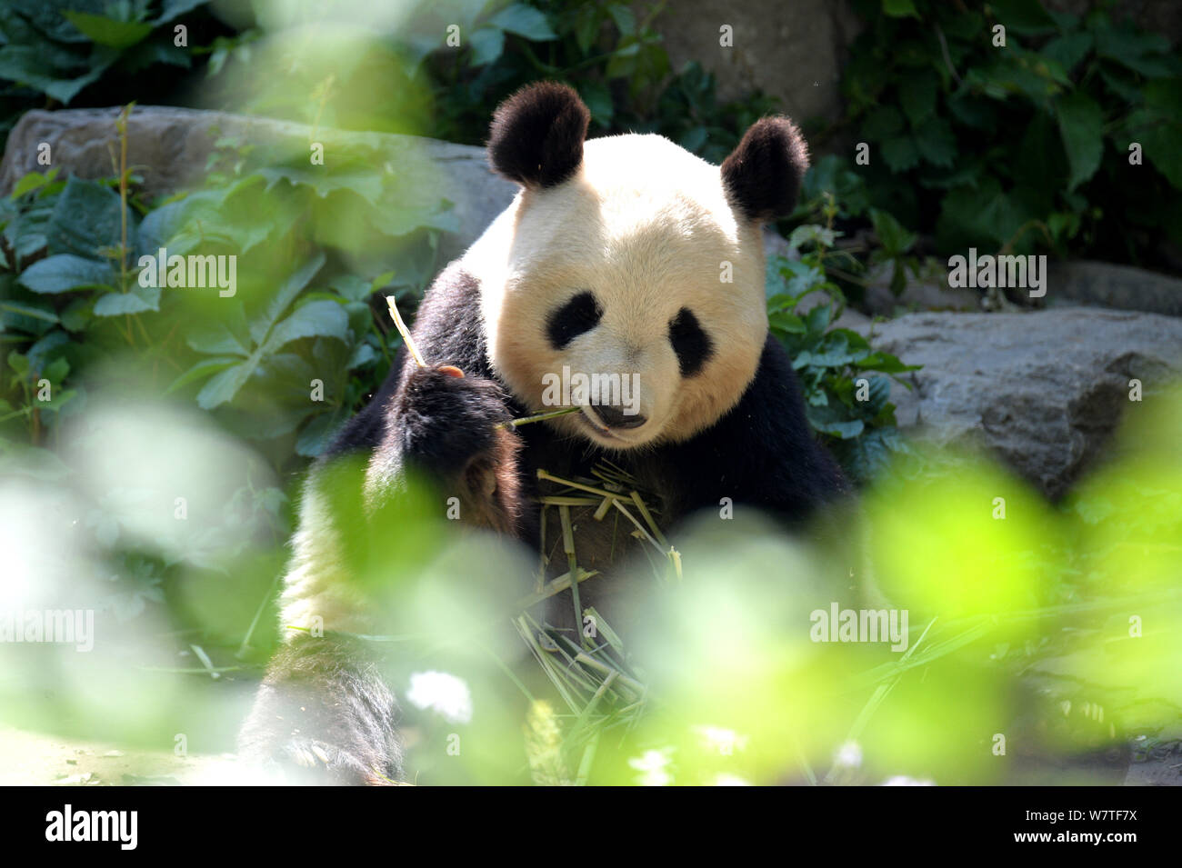 31 Degrees High Resolution Stock Photography And Images Alamy