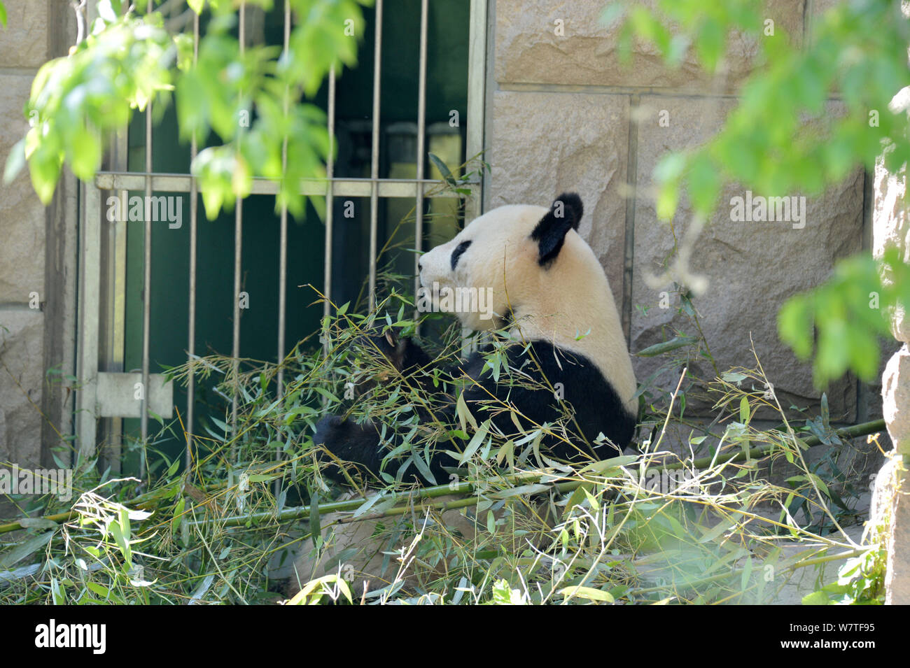 31 Degrees High Resolution Stock Photography And Images Alamy