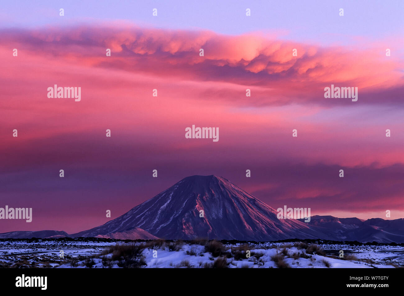 Mount Ngauruhoe at dawn, under steam and ash cloud issuing from Mount