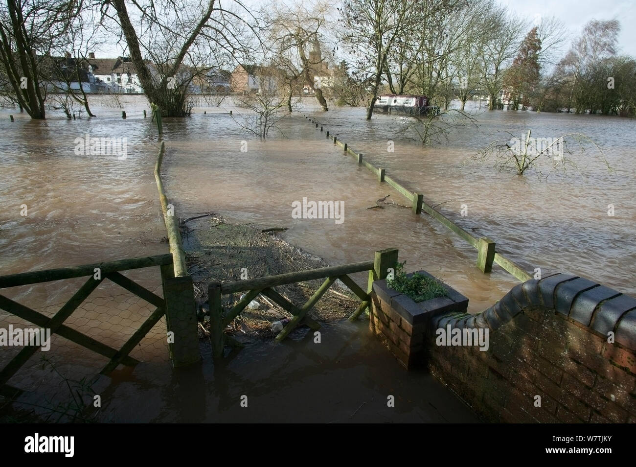 Garden flooded from February 2014 River Severn flood , Upton upon