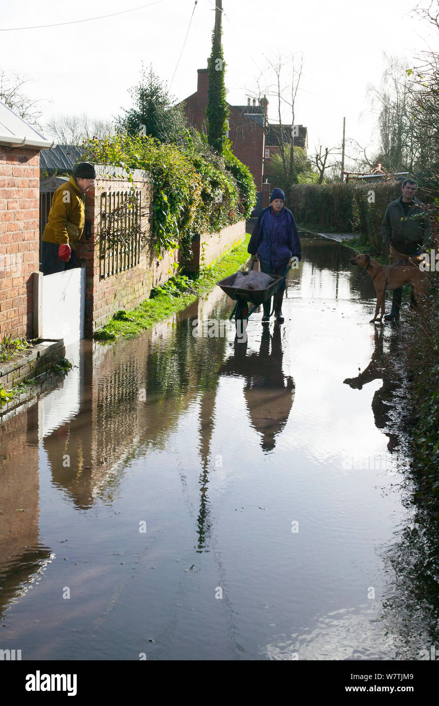 Woman with wheelbarrow of sand bags to prevent flooding to home during February 2014 floods. Upton Upon Severn, Worcestershire, England, UK, 8th February 2014. Stock Photo