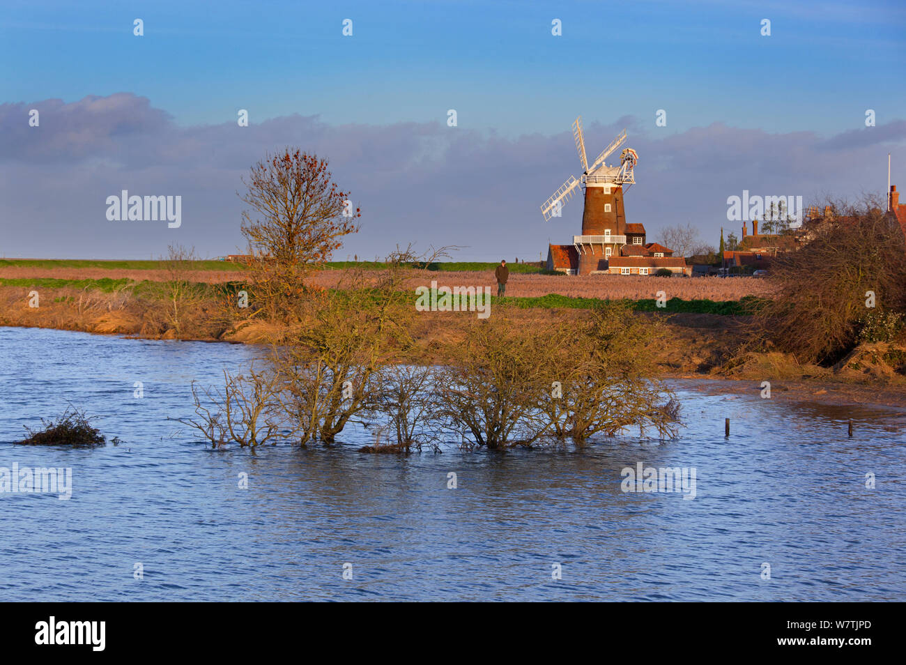 View of flooding after the 6th December east coast tidal surge, with Cley windmill and village in the background, Norfolk, England, UK, December 2013. Stock Photo