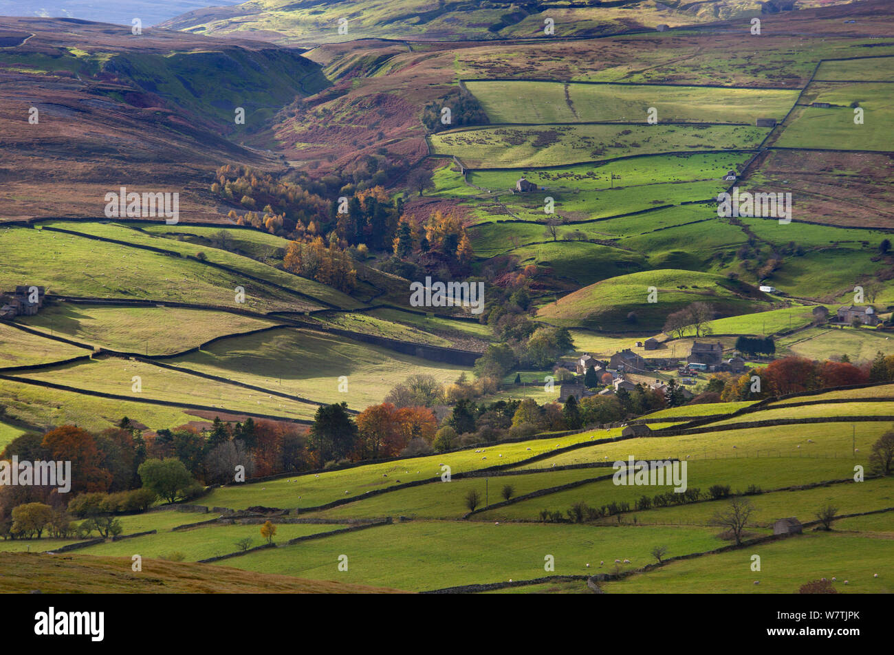 View over Swaledale, Yorkshire Dales National Park, Yorkshire, England, UK, November. Stock Photo
