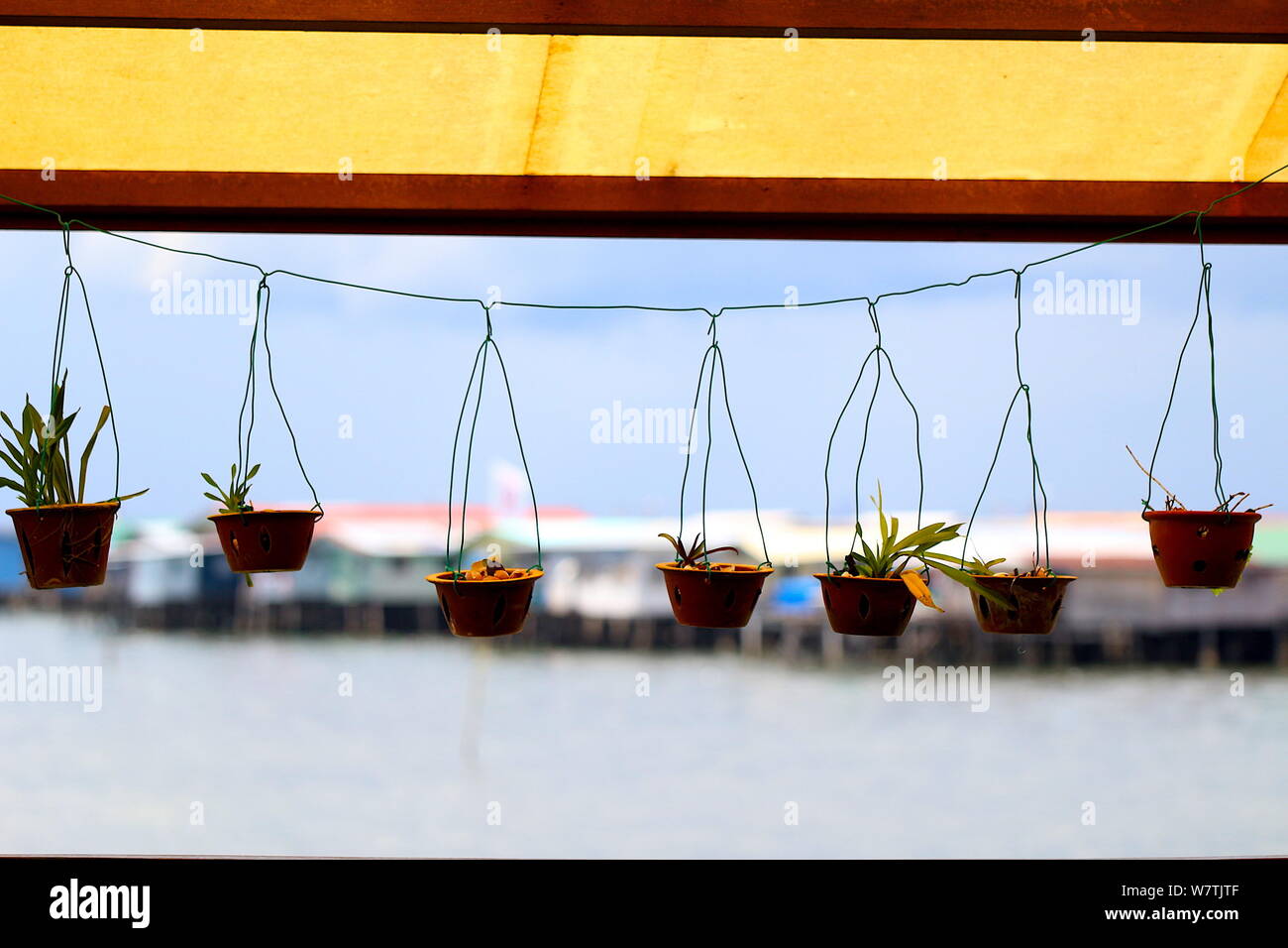 Hanging baskets garden hi-res stock photography and images - Alamy