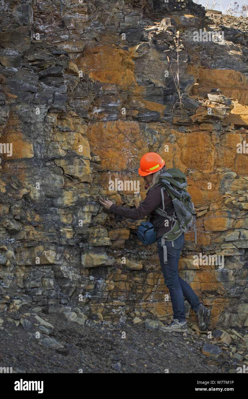 Man investigating Marcellus shale, source rock of huge quantities of