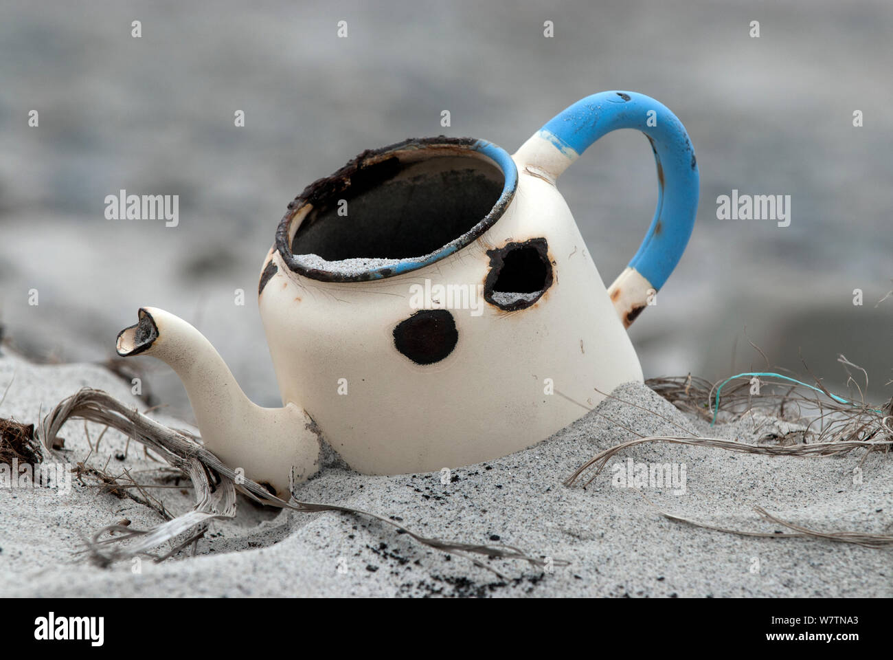 Discarded metal teapot found on the south beach, Sea Lion Island, The Falklands. Stock Photo