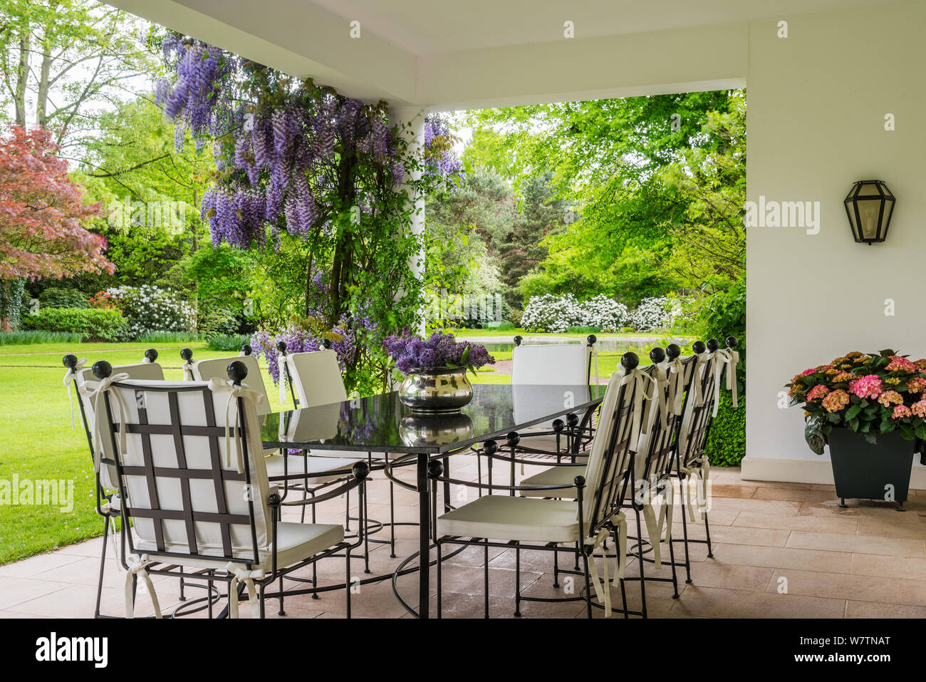 Dining area on patio with wisteria Stock Photo