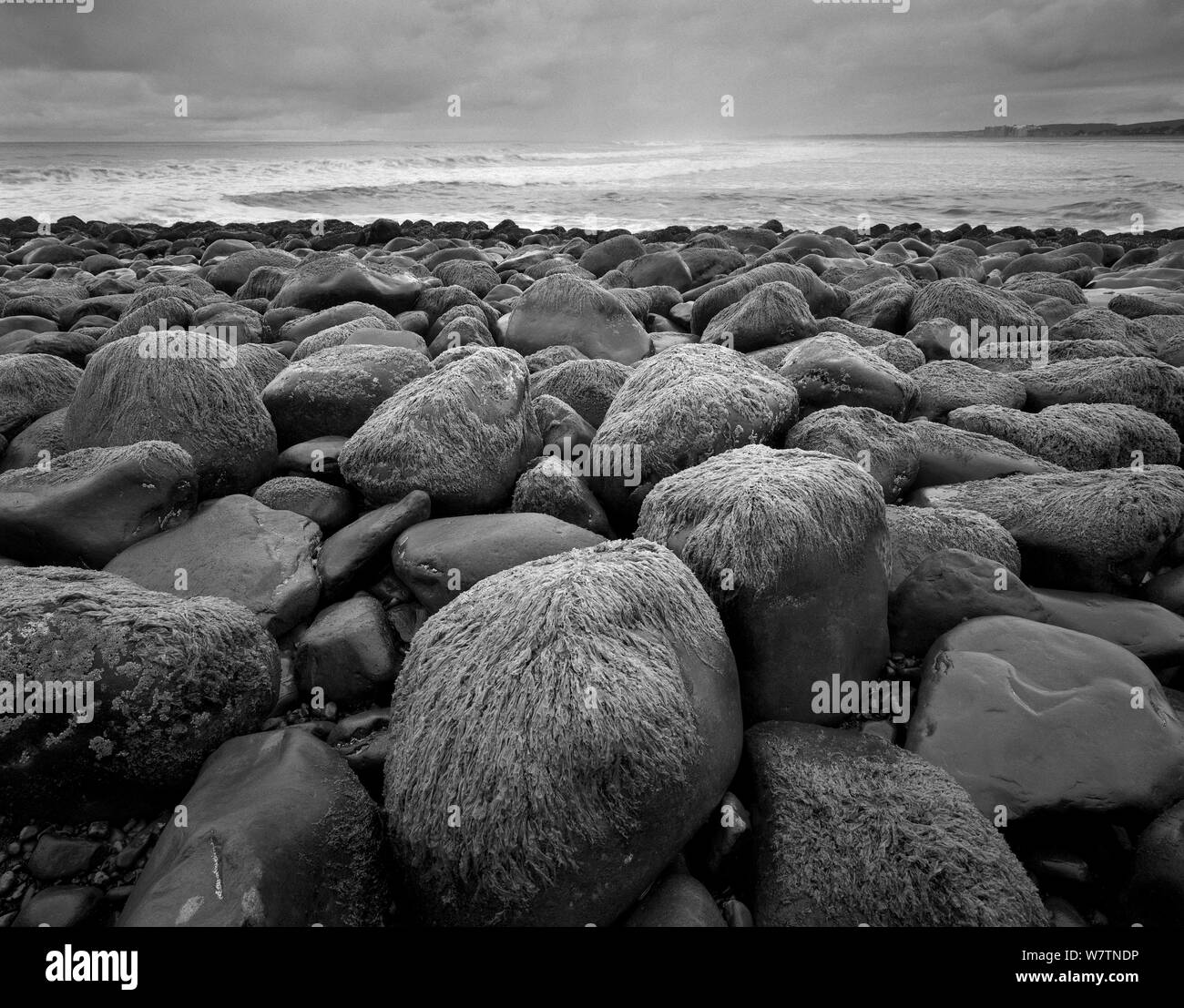 Black and white photograph of rocky coast line at seaside, Oregon, USA. Stock Photo