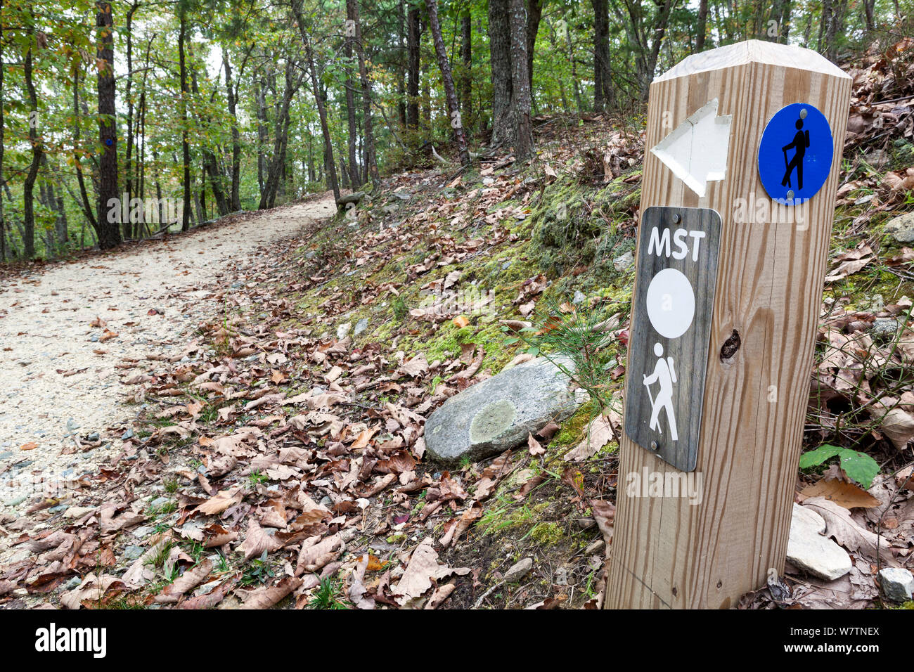 The Grindstone Trail, part of the Mountain-To-Sea trail, in Pilot Mountain State Park. North Carolina, USA, October 2013. Stock Photo