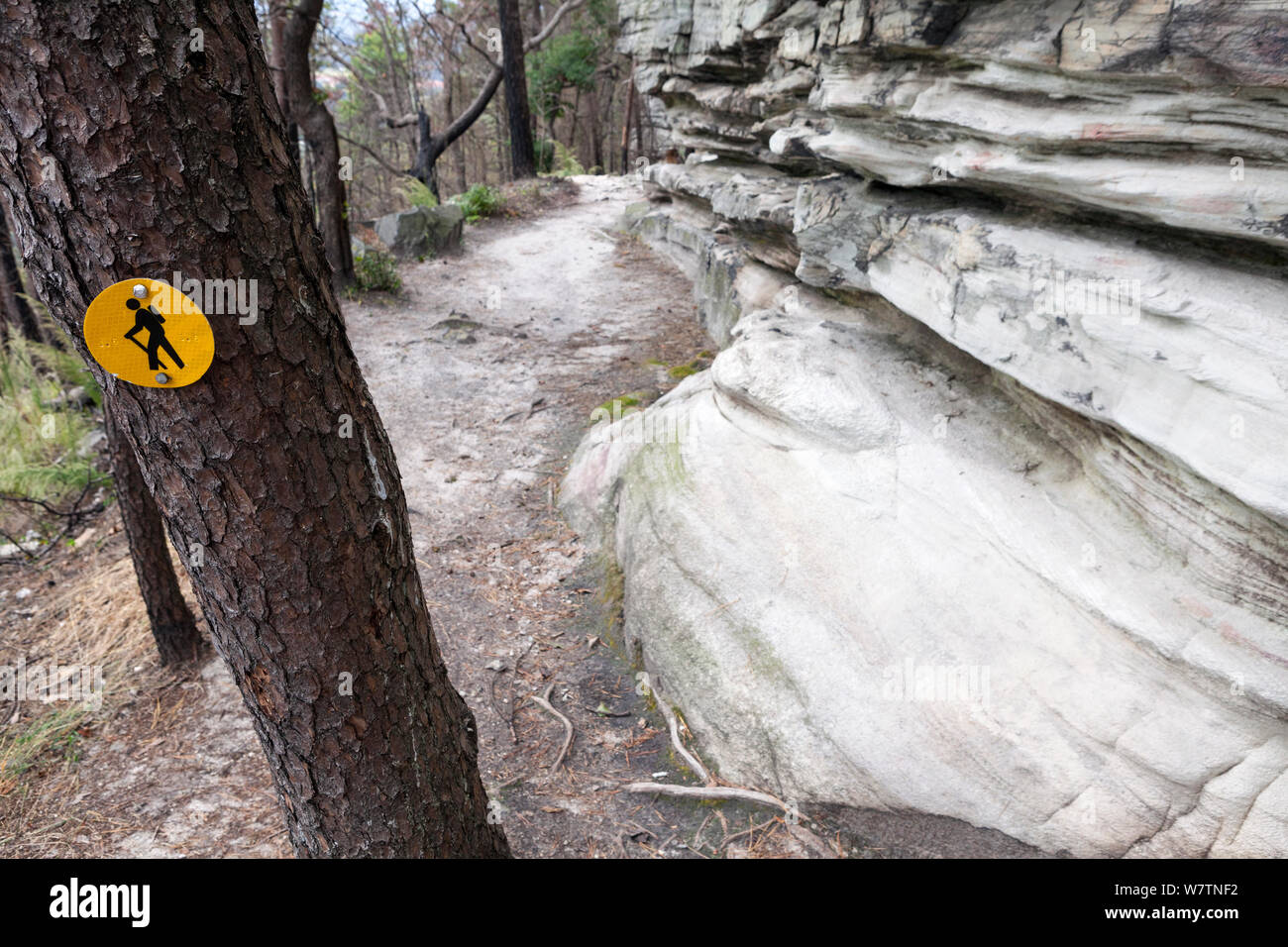 Trail marker walking sign along the Jomeokee Trail, Pilot Mountain State Park. North Carolina, USA, October 2013. Stock Photo