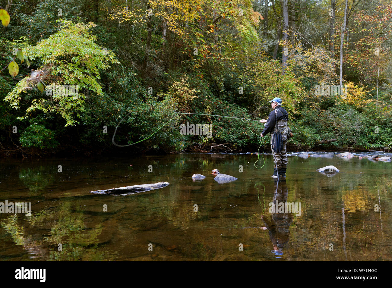 Alan McDonald  fishing below Hooker Falls in the DuPont State Forest, Transylvania County, North Carolina, USA, October 2013. Model released. Stock Photo