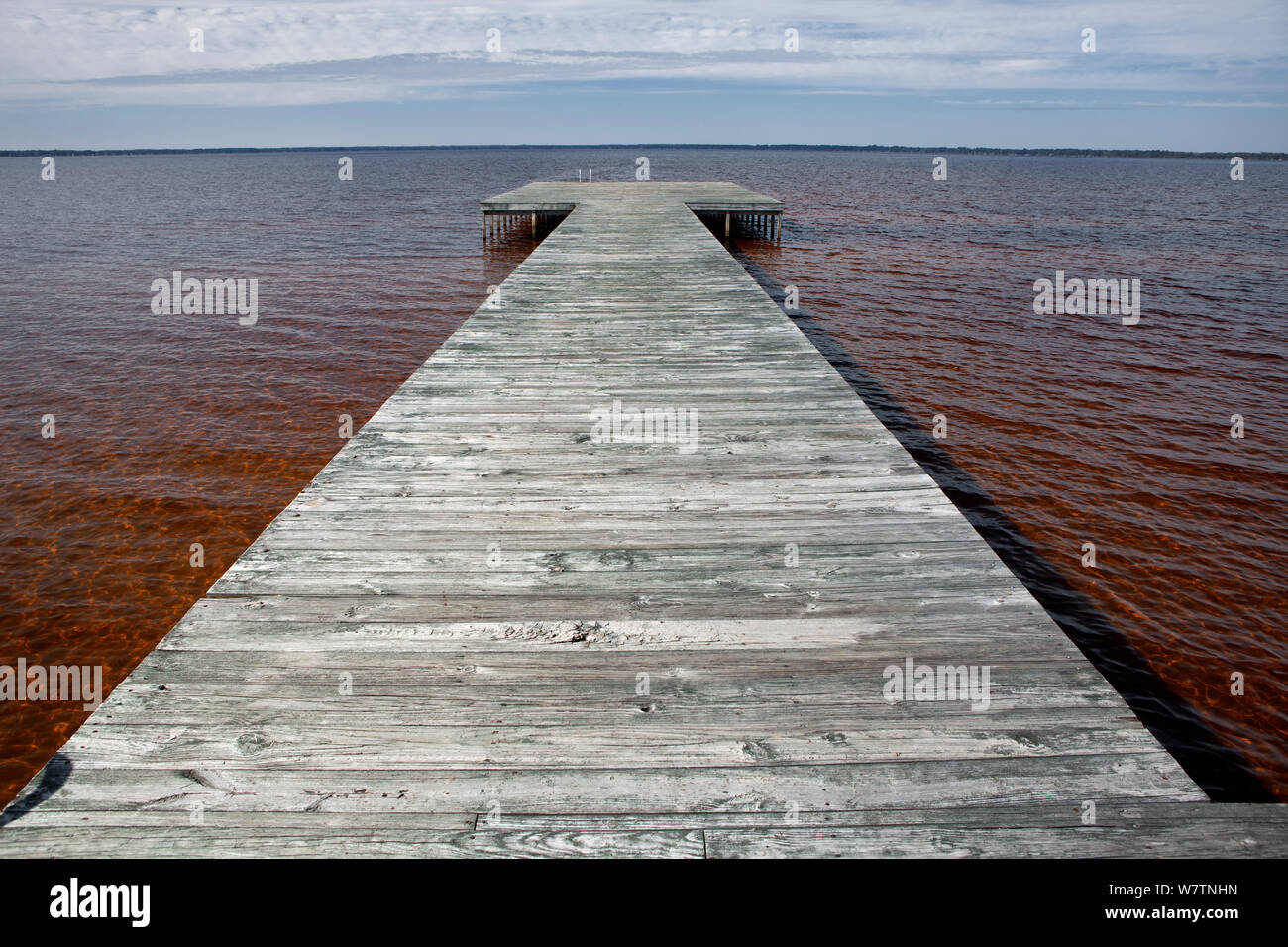 Swimming dock at Lake Waccamaw State Park. North Carolina, USA, October