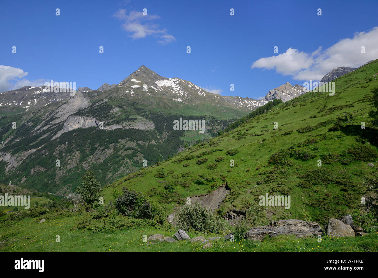 Pimene mountain from Vallee des Especieres, Pyrenees National Park, France, July 2013. Stock Photo