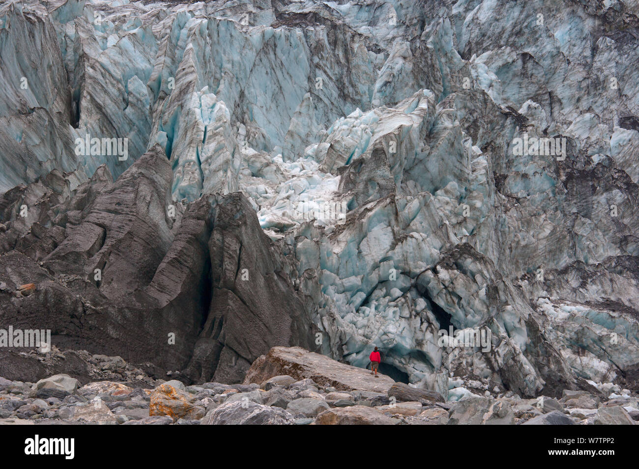 Fox Glacier foot towering over person standing on rock, Aoraki / Mount