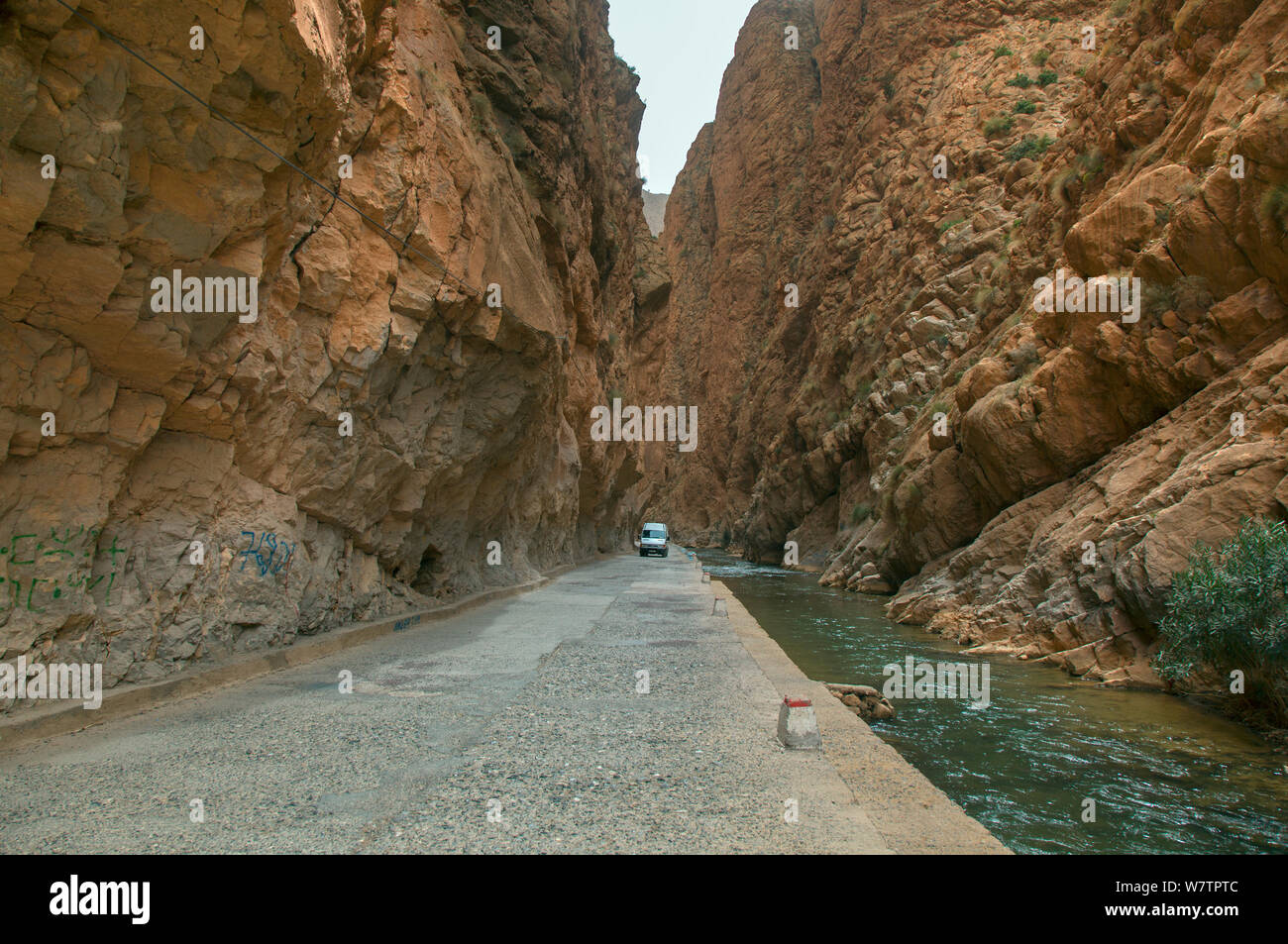 The Dades Gorge road passing between steep rock faces next to river, Morocco, March 2011. Stock Photo