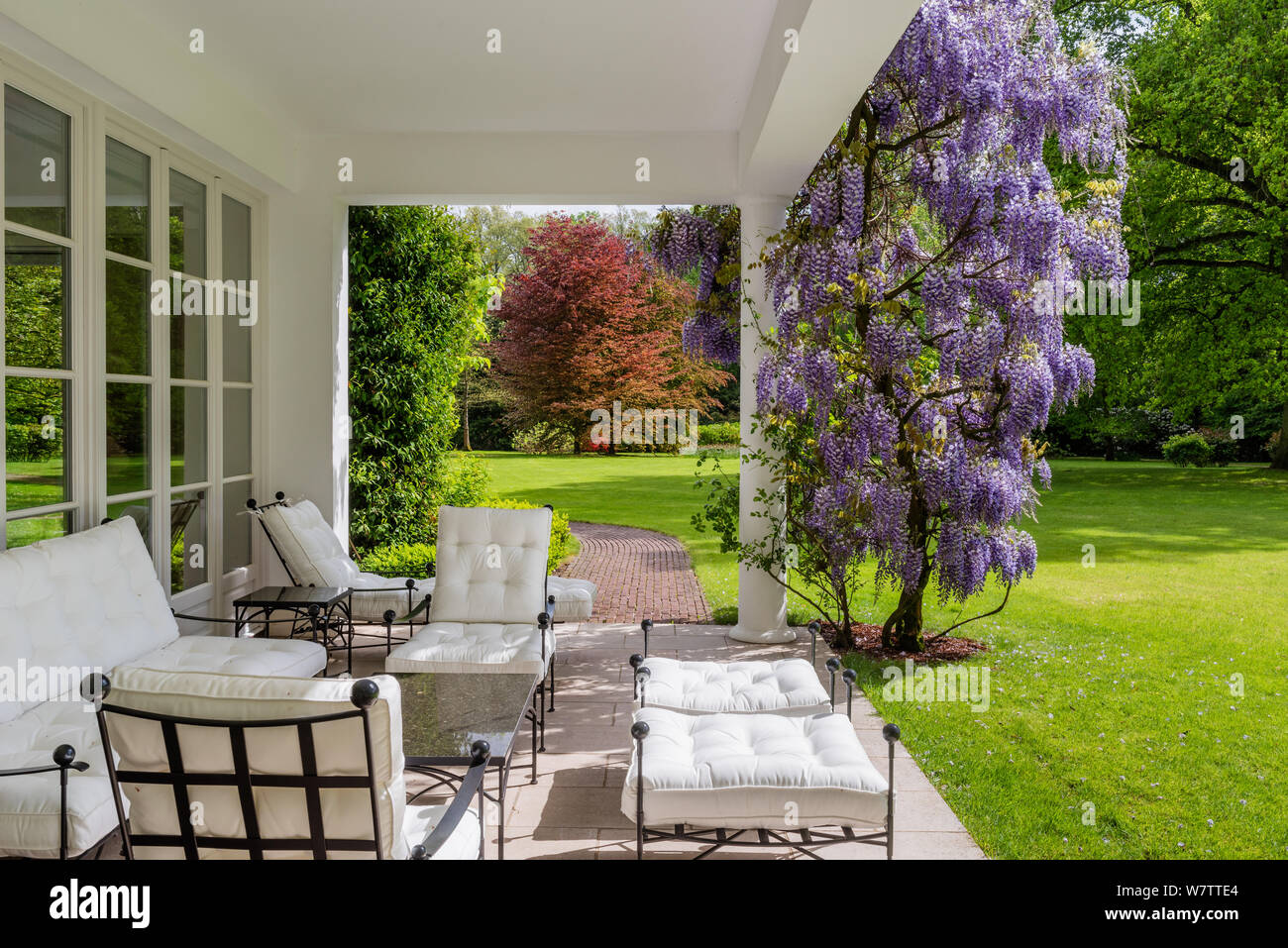 Sitting area on patio with wisteria Stock Photo