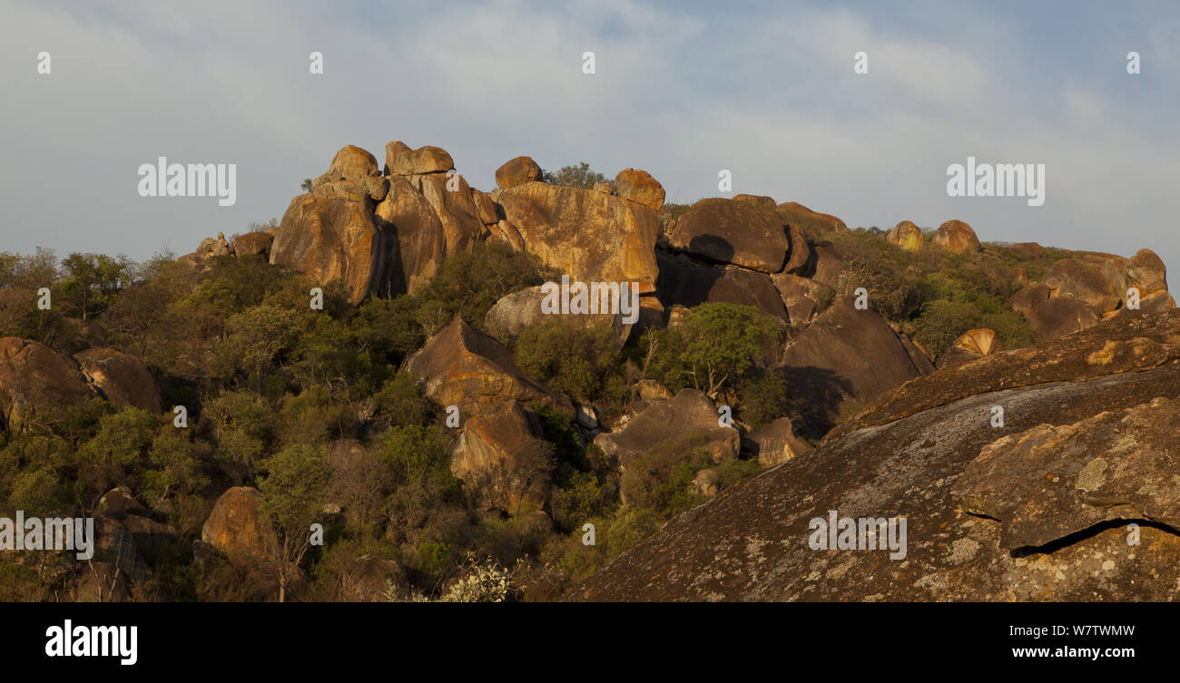 Granite outcrops on hillside, Matobo National Park, Motopos Hills, Zimbabwe, November 2011. Stock Photo