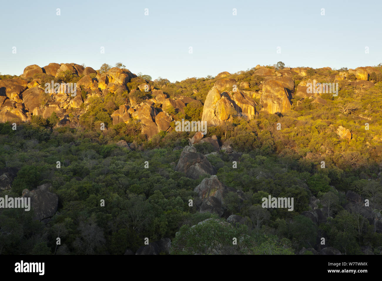Granite outcrops on hillside, Matobo National Park, Motopos Hills, Zimbabwe, November 2011. Stock Photo