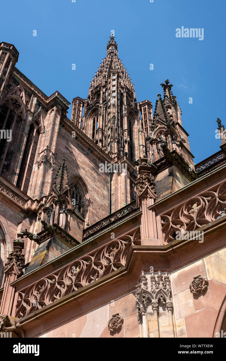 Straßburger Münster, Cathédrale Notre-Dame de Strasbourg, Südseite, Brüstung und Turm Stock Photo