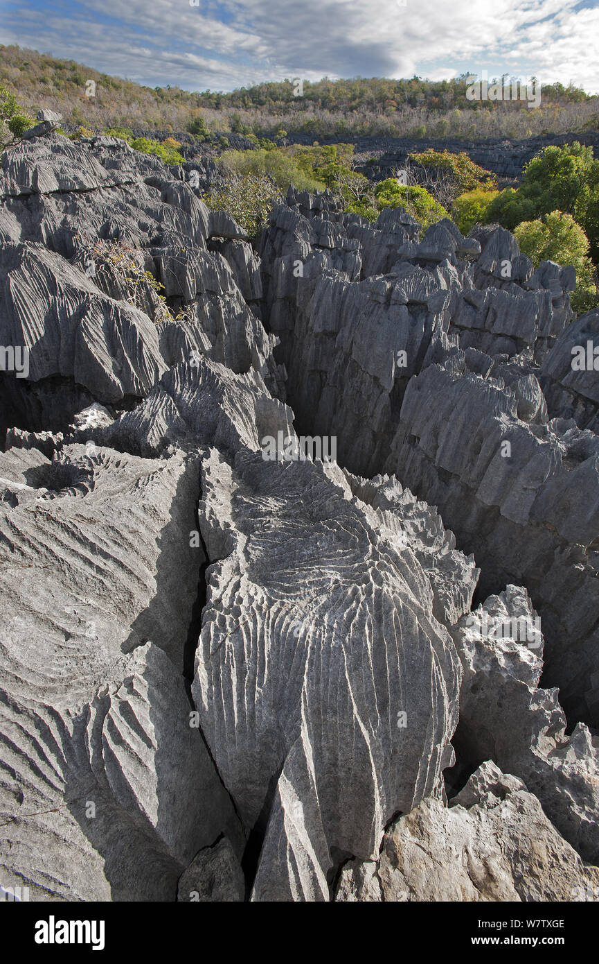 Tsings - karst limestone formations, Ankarana NP, Madagascar, June 2013. Stock Photo