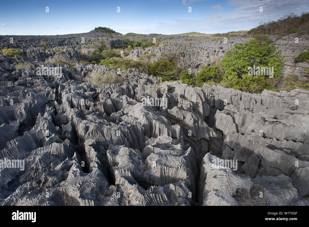 Tsingy - karst limestone formations, Ankarana NP, Madagascar, June 2013. Stock Photo