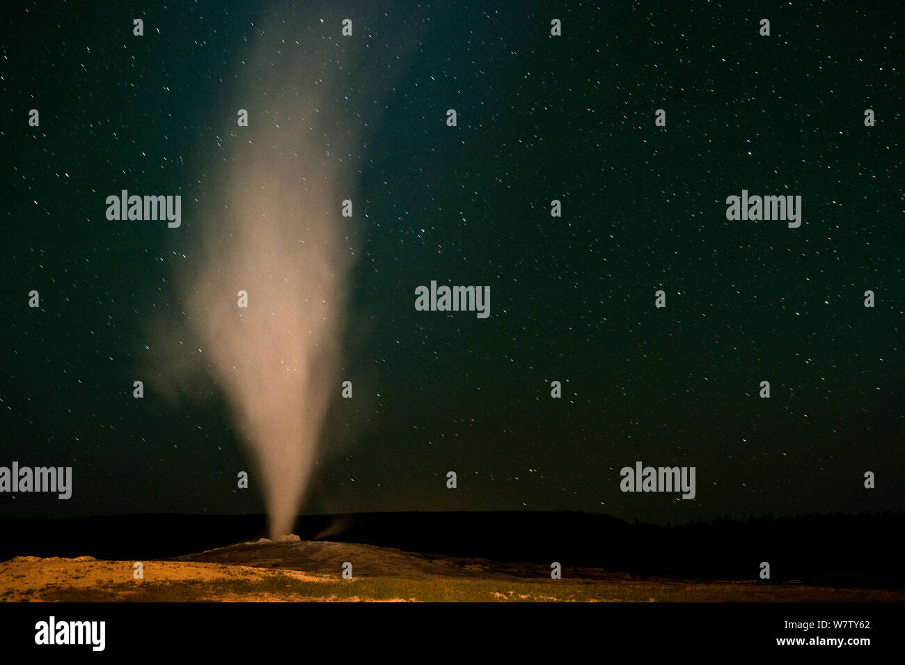 Old Faithful eruption at night, Upper Geyser Basin, Yellowstone ...