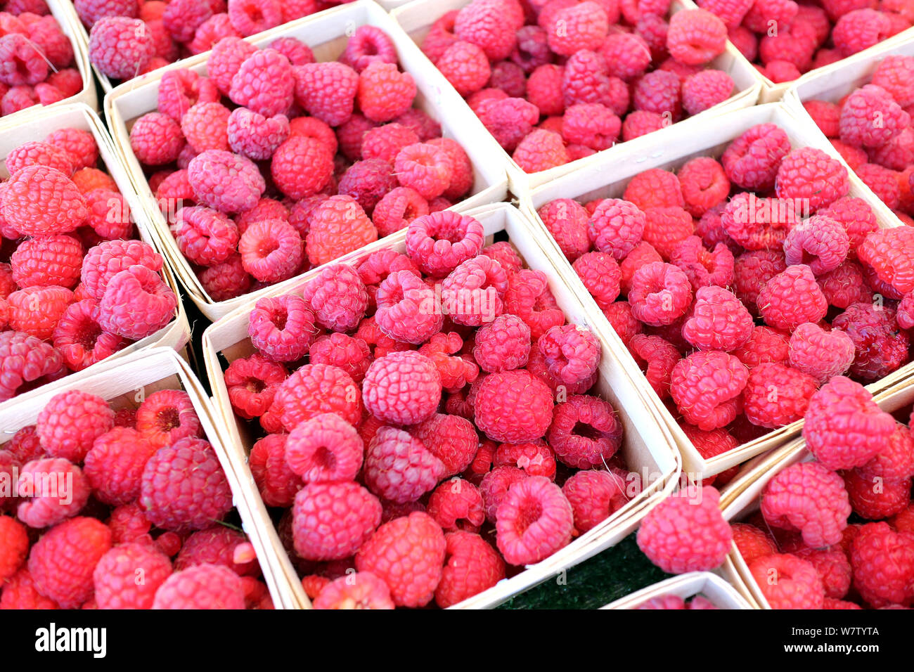 Raspberry farmer hi-res stock photography and images - Alamy