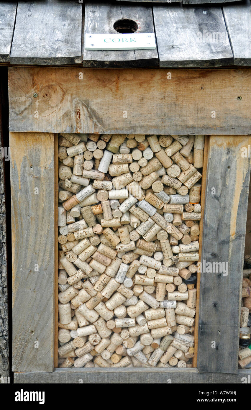 Cork recycling box wooded box full of recycled corks, Surrey, England