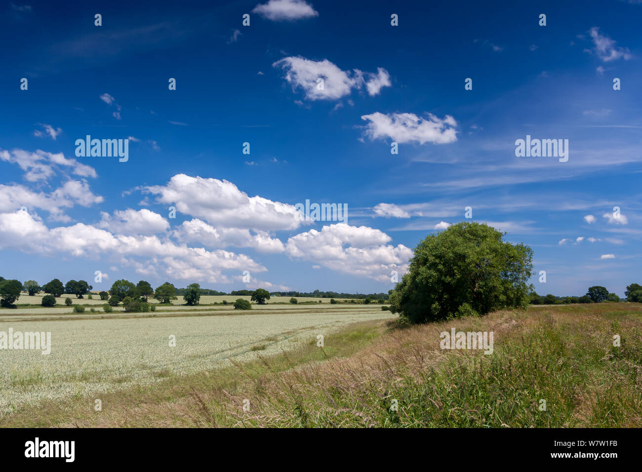 A summer's day in the Sussex countryside Stock Photo - Alamy