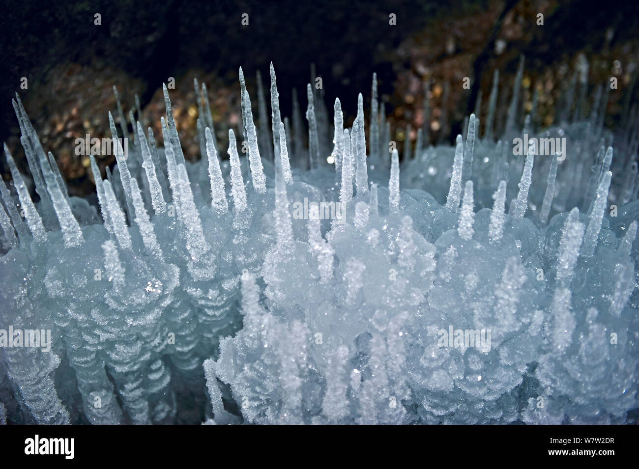 Ice stalagmites / ice spikes formation, Lake Baikal, Siberia, Russia