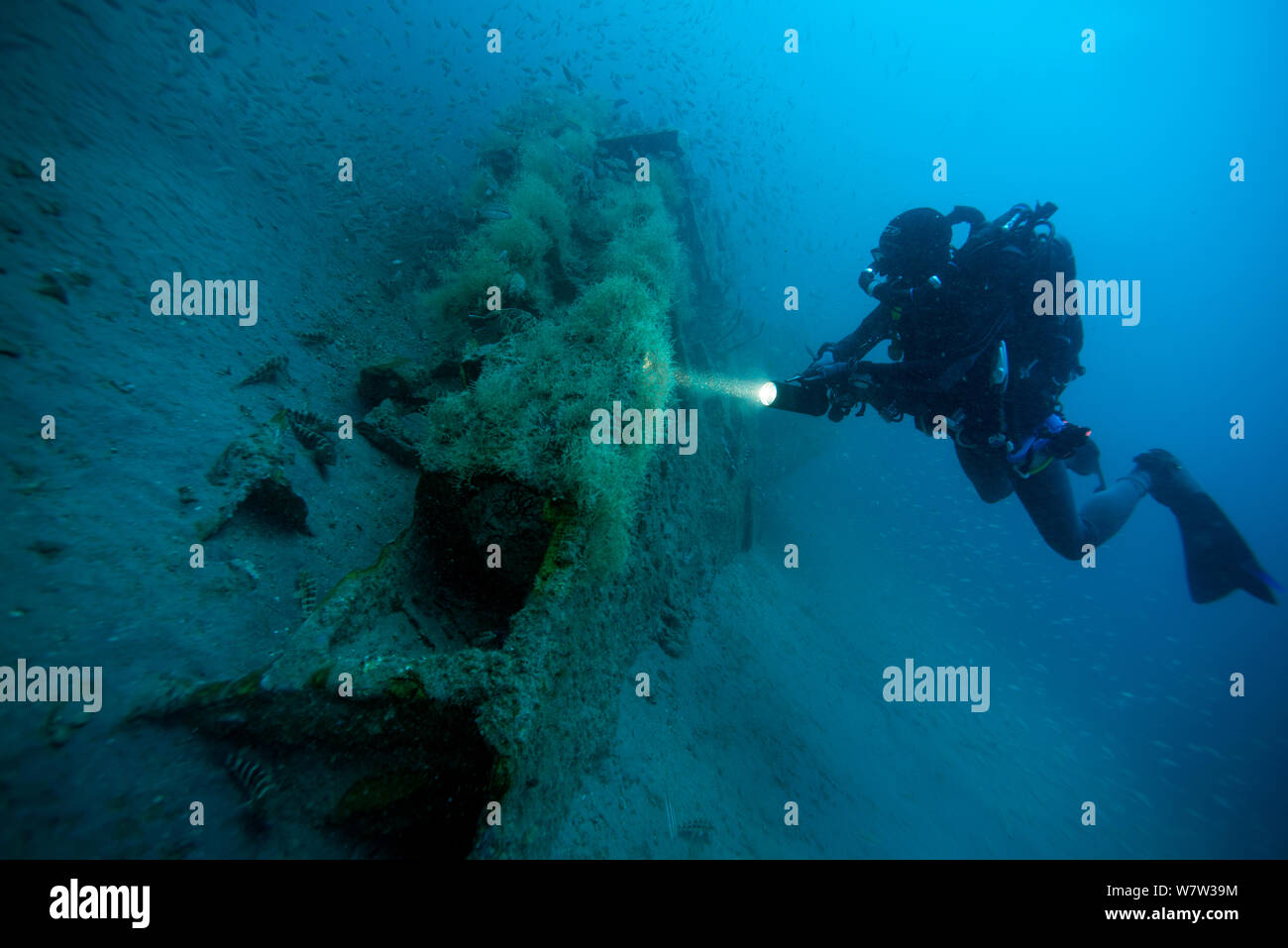Diver on the bow of U-Boat -U352. Type VIIC sunk off Cape Lookout on the 9th May 1942, North Carolina, USA, September 2013. Stock Photo