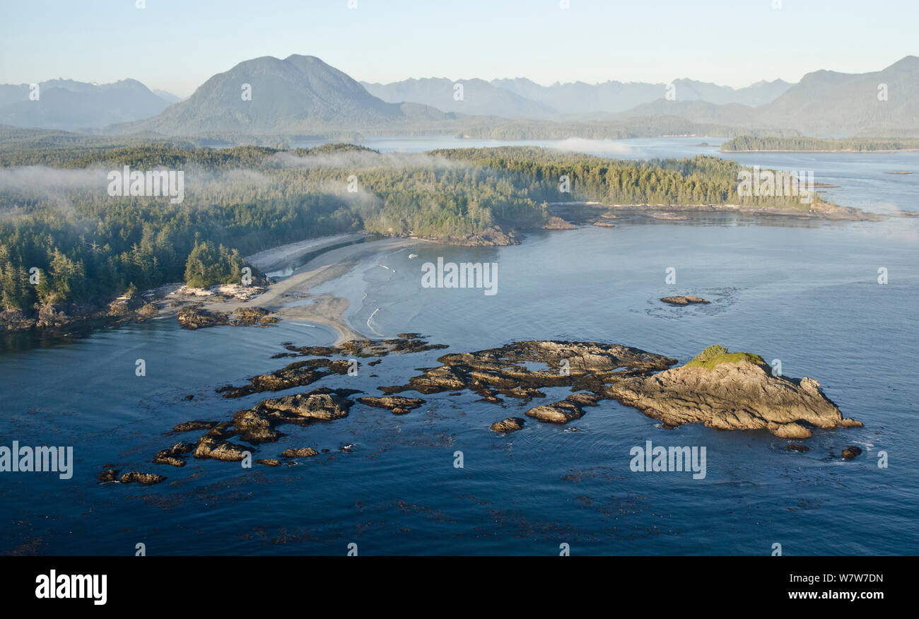 Temperate rainforest on the coastline, aerial shot, Vancouver Island, British Columbia, Canada, July. Stock Photo