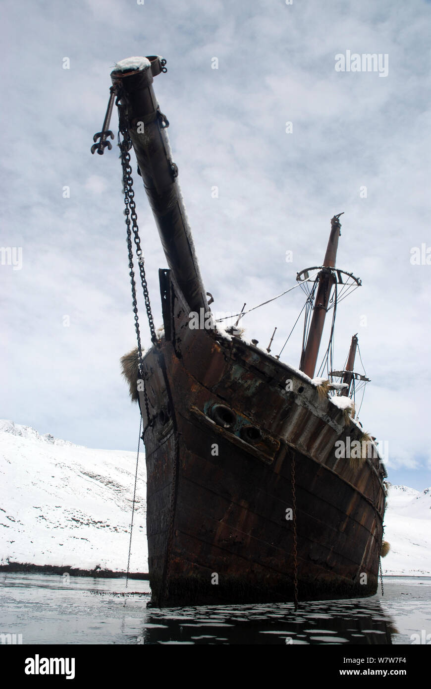 Wreck of the &#39;Bayard&#39;, ran aground in 1911. Ocean Harbour - South Georgia Stock Photo