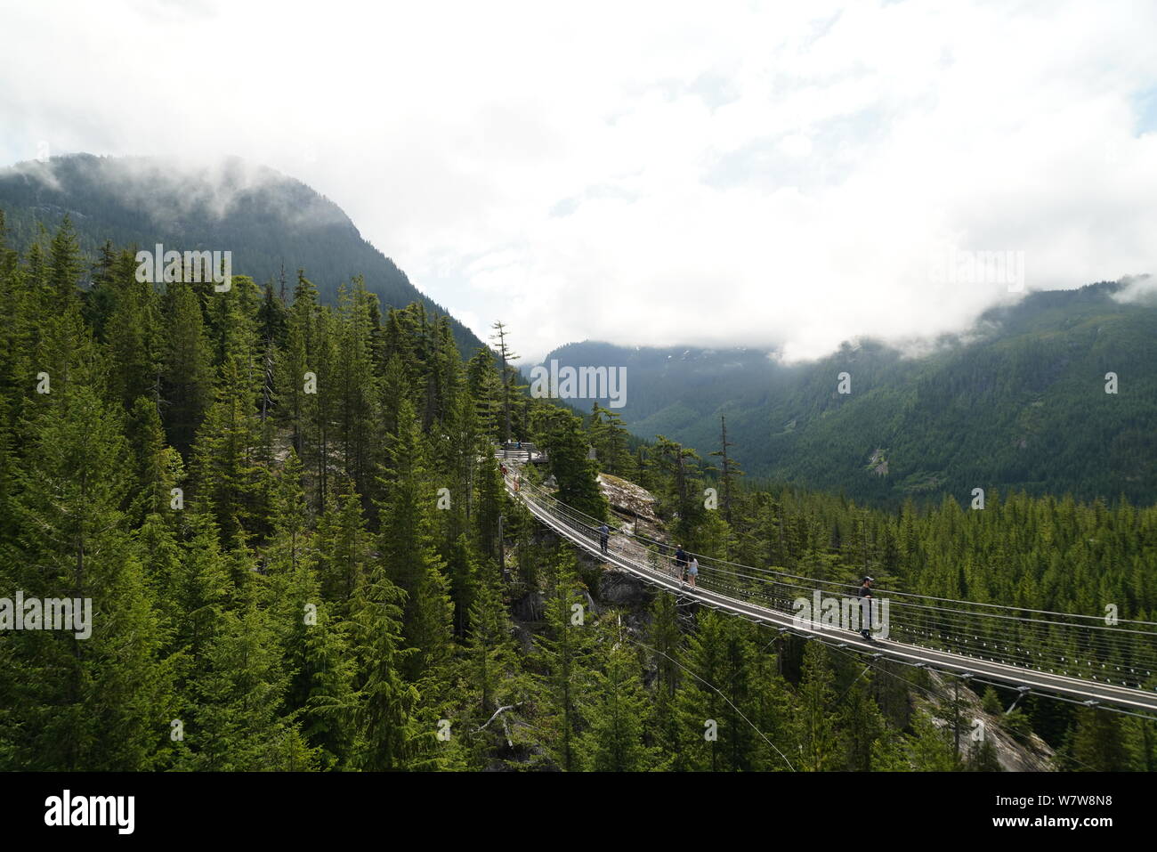 Suspension Bridge in Squamish Stock Photo Alamy