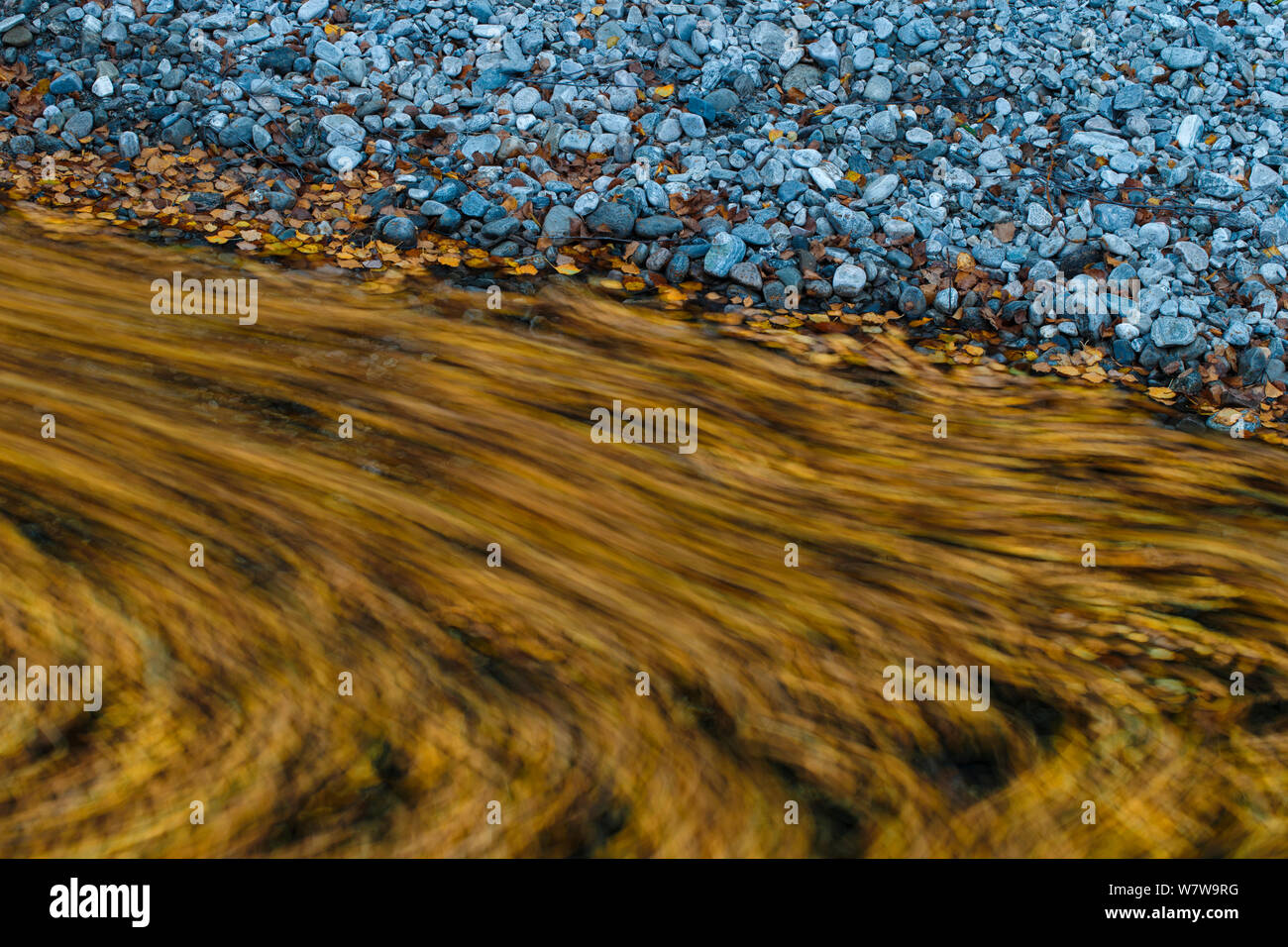 Abstract of river with autumn leaves and rocky shore, Dovrefjell National Park, Norway, September 2013. Stock Photo