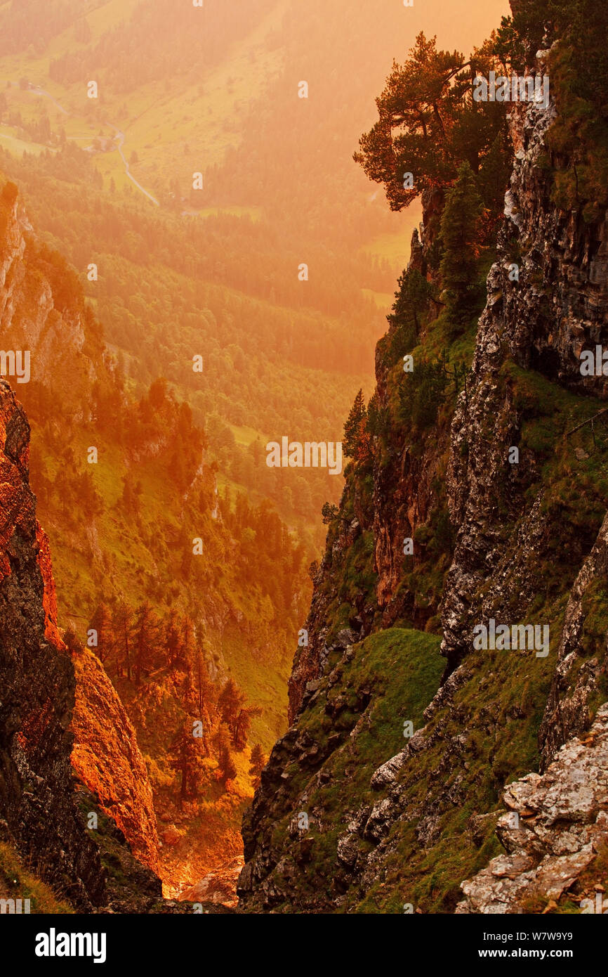 Cliff face at sunrise, Niederhorn Mountain, Bernese Alps, Switzerland, August 2011. Stock Photo
