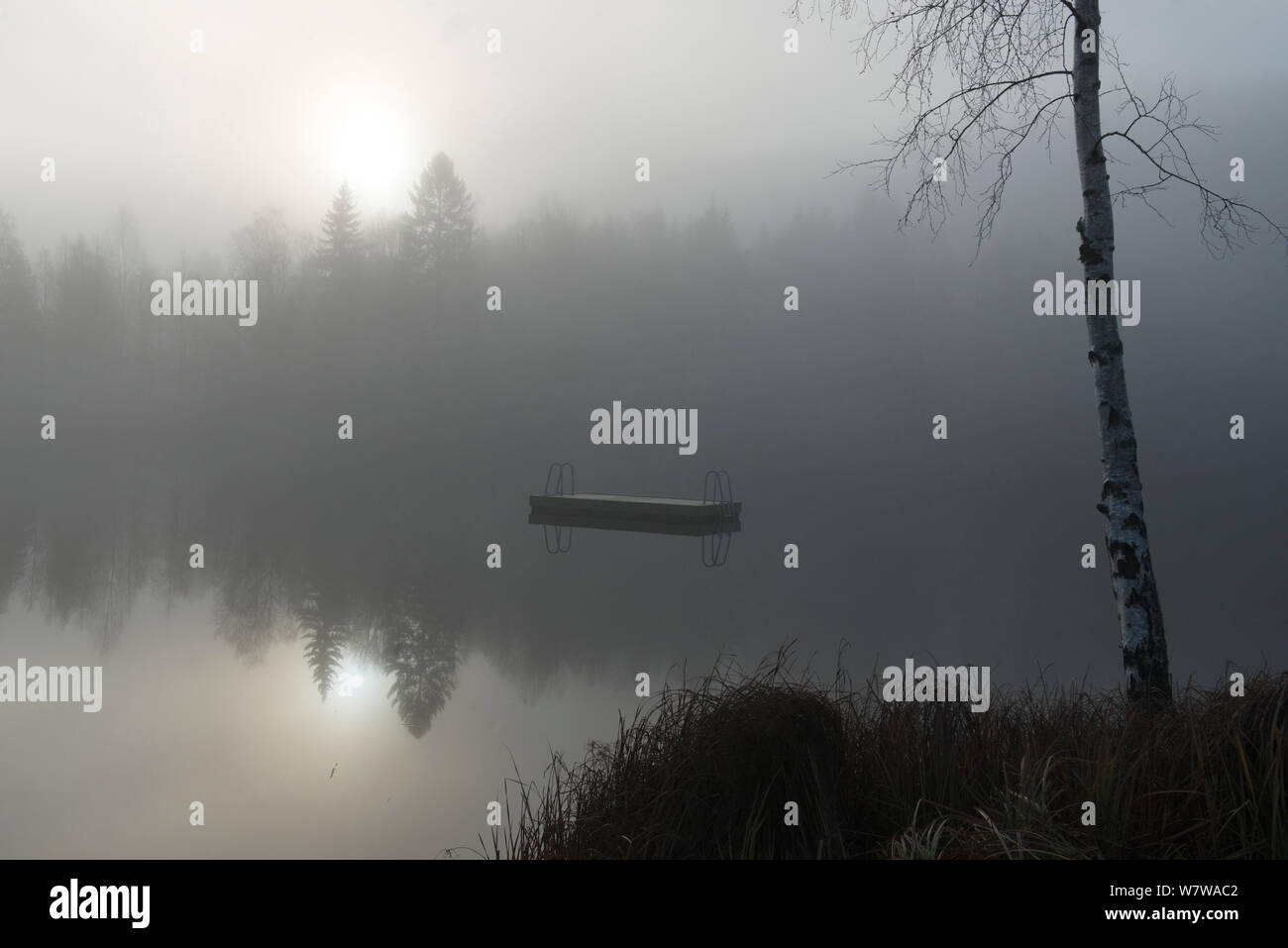 Reflections in misty lake, Akershus, Norway, November. Stock Photo