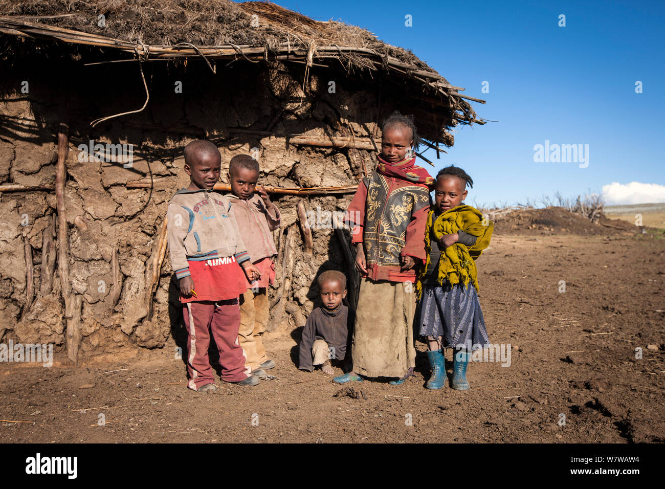 Ethiopian children, Rafu. Bale Mountains National Park, Ethiopia, December 2011. Stock Photo