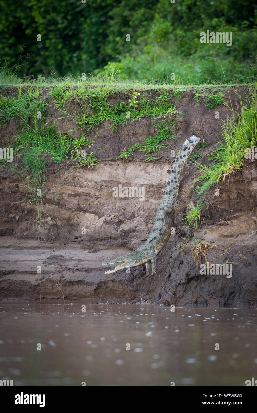 Photographs and scheme of geomorphic features: A, steep-sided wash bank