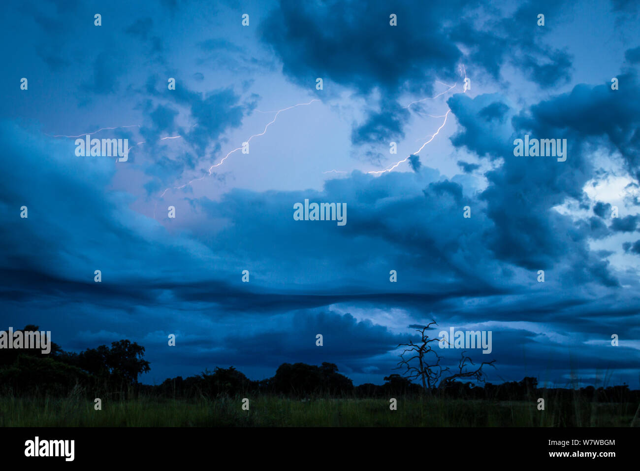 Lightning during a storm, South Luangwa National Park, Zambia. February 2013. Stock Photo