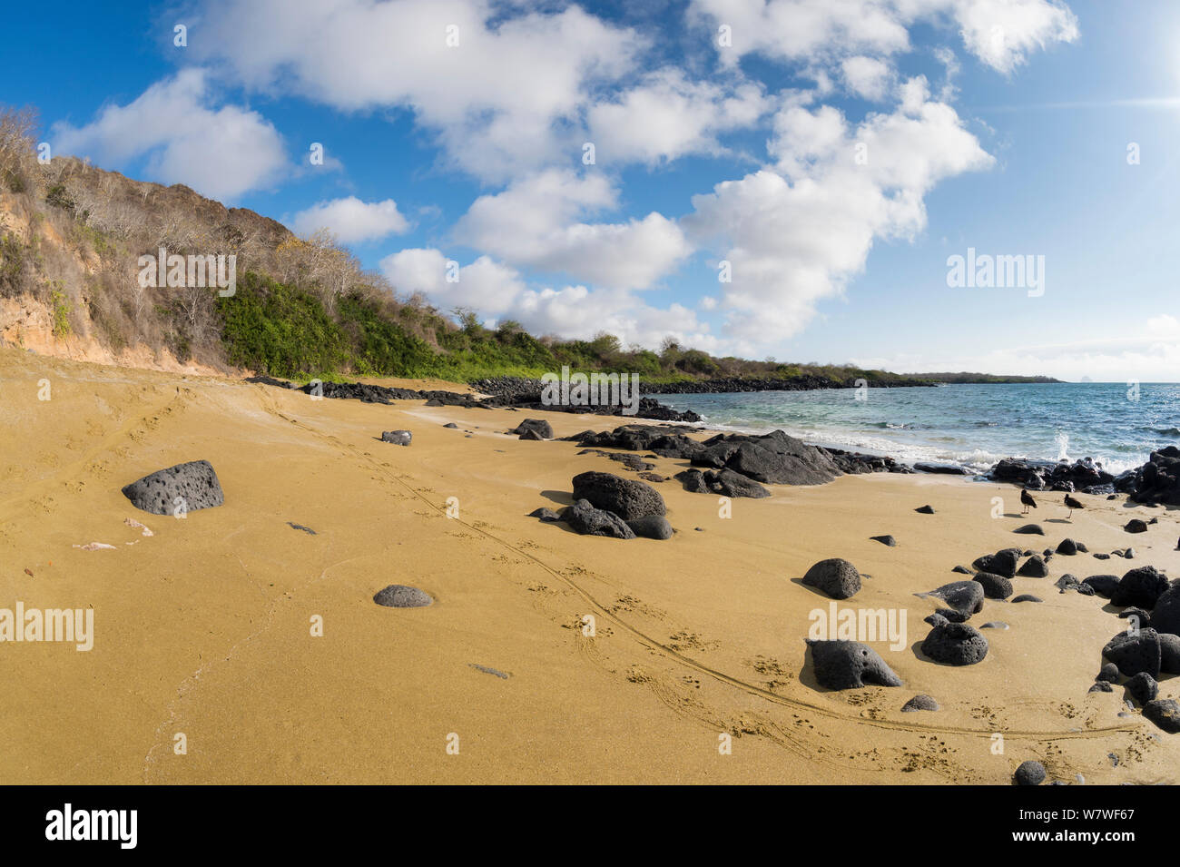 Olivine beach formed from crystals leached out of eroded tuff cone, Whale Bay, Santa Cruz Island, Galapagos Islands. Stock Photo