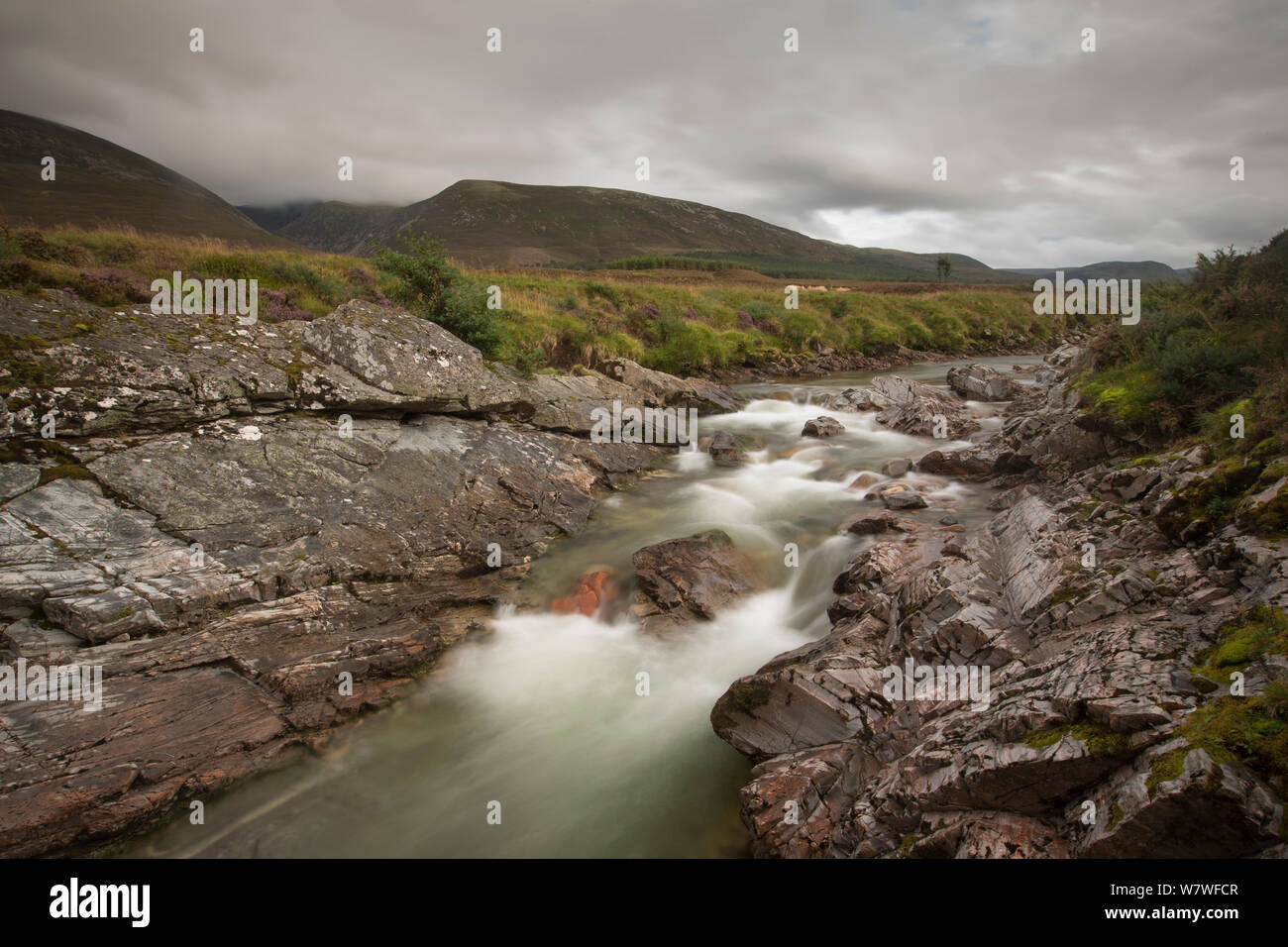 Overcast day over River Feshie, Glenfeshie, Cairngorms National Park, Scotland, August 2013. Stock Photo