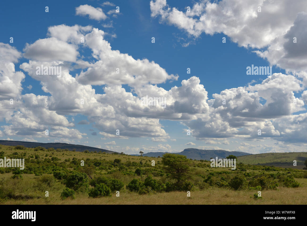 Savanna habitat with scattered clouds, Samburu, Kenya,October 2013. Stock Photo